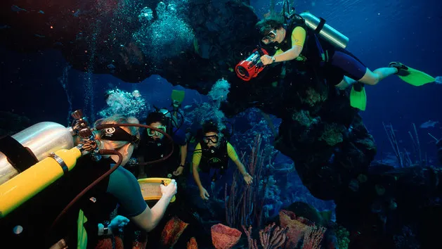 A group of people in the water with scuba gear.