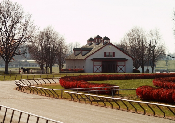 A horse barn with a fence and bench in the foreground.
